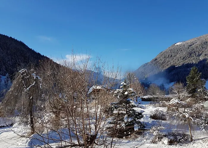 Apartament Haus Dorle Bad Kleinkirchheim